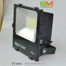 100W High Power LED Floodlight with IP65 for Outdoor