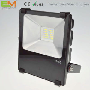 SMD floodlight 30W